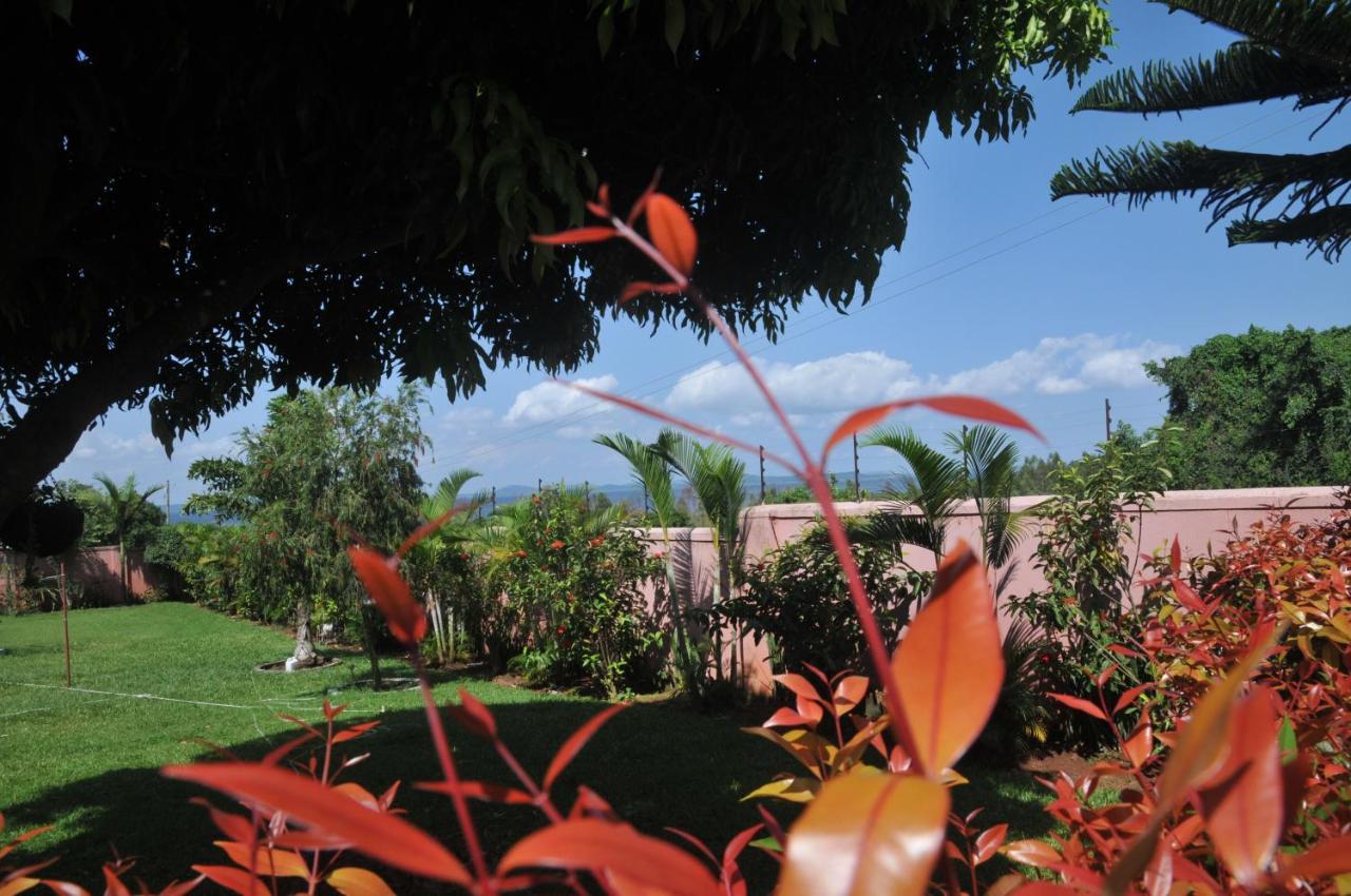 Victoria Lake View Guesthouse & Safaris Entebbe Zewnętrze zdjęcie
