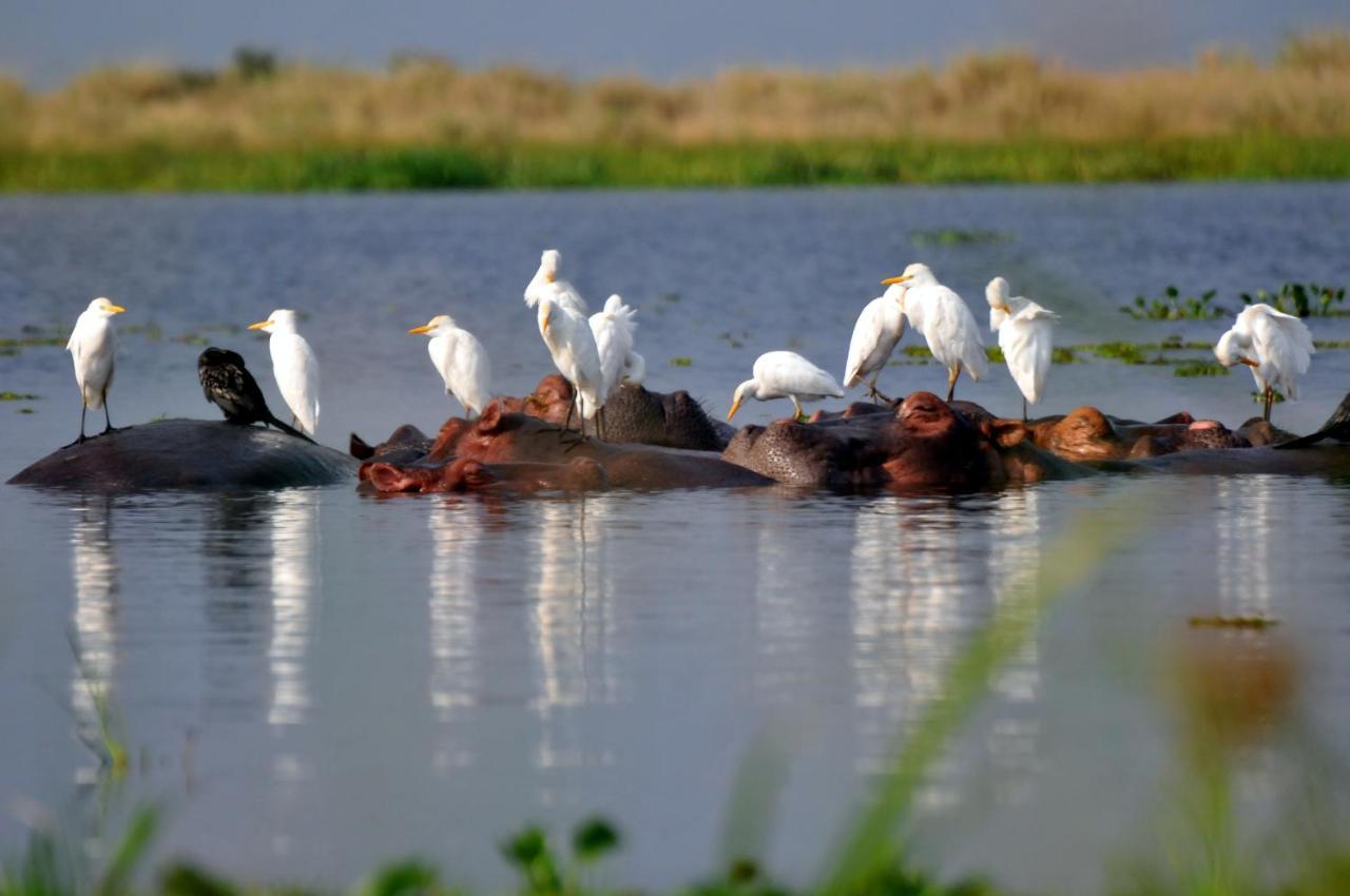 Victoria Lake View Guesthouse & Safaris Entebbe Zewnętrze zdjęcie